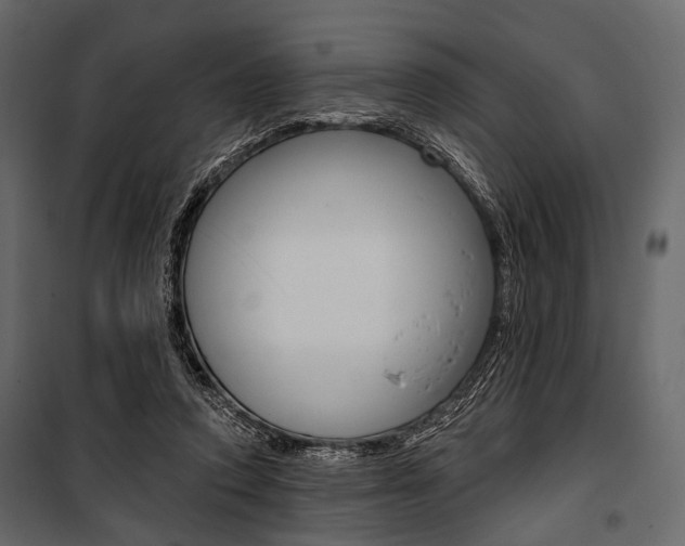 X0000100920354200806241119