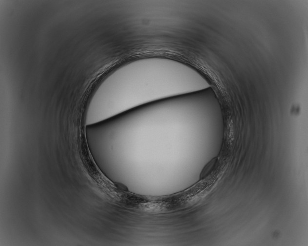 X0000100920356200806241119