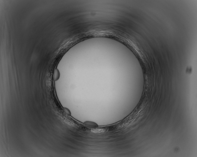 X0000100920357200806241119