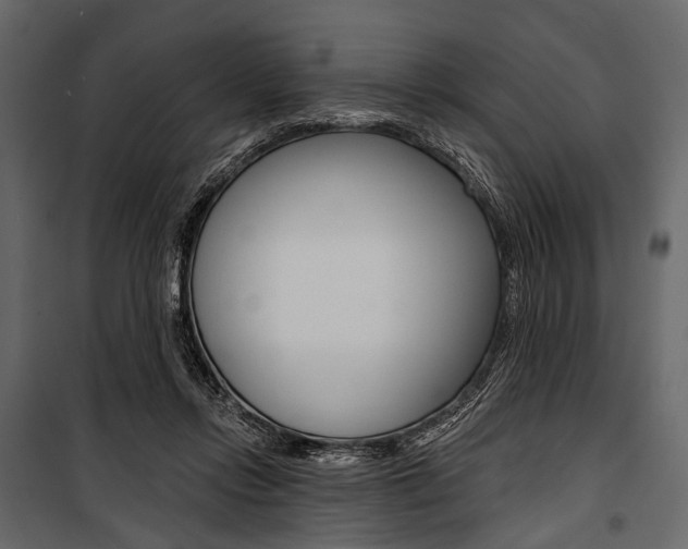 X0000100920358200806241119