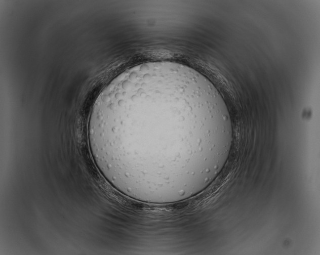 X0000100920359200806241119