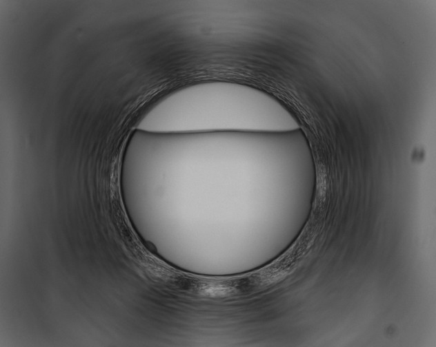 X0000100920360200806241119
