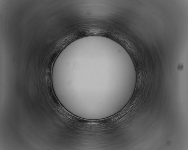 X0000100920361200806241119