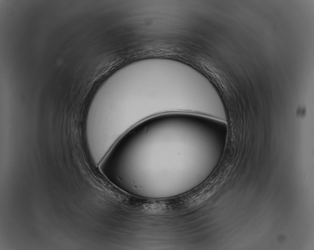 X0000100920362200806241119