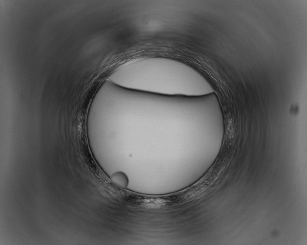 X0000100920363200806241119