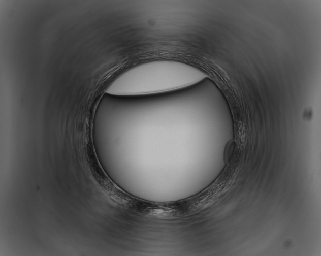 X0000100920364200806241119