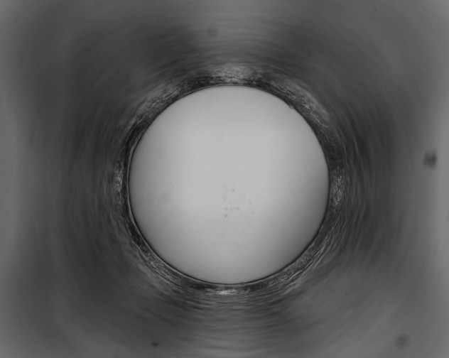 X0000100920365200806241119