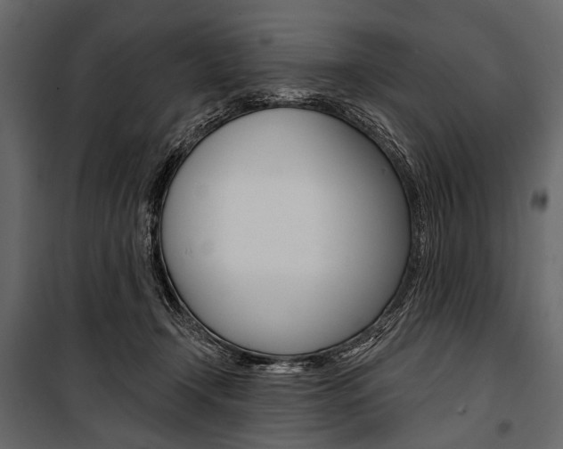 X0000100920366200806241119
