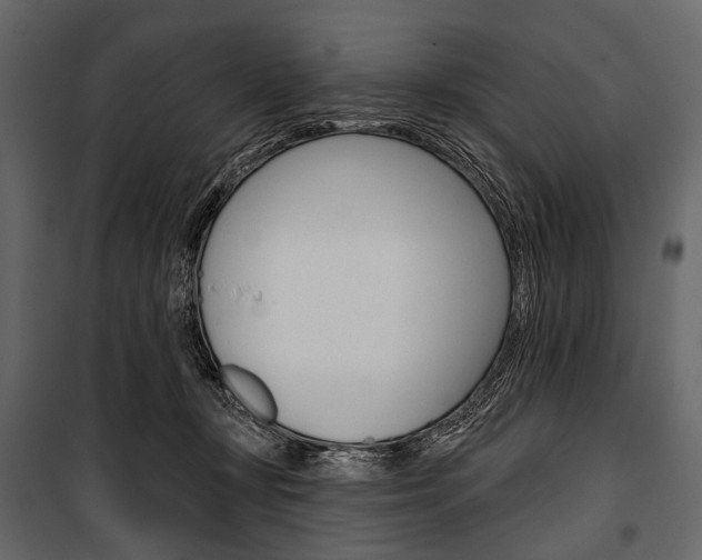 X0000100920367200806241119