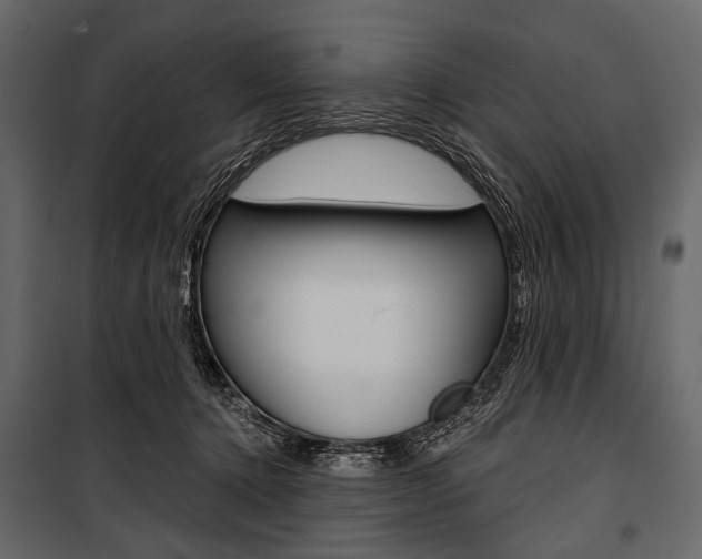 X0000100920368200806241119
