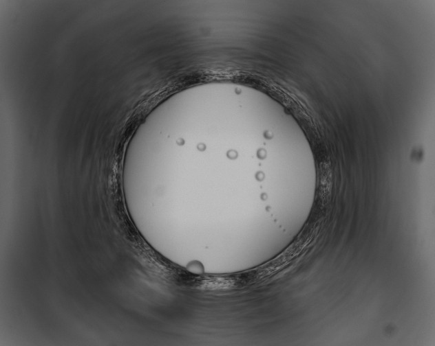 X0000100920369200806241119