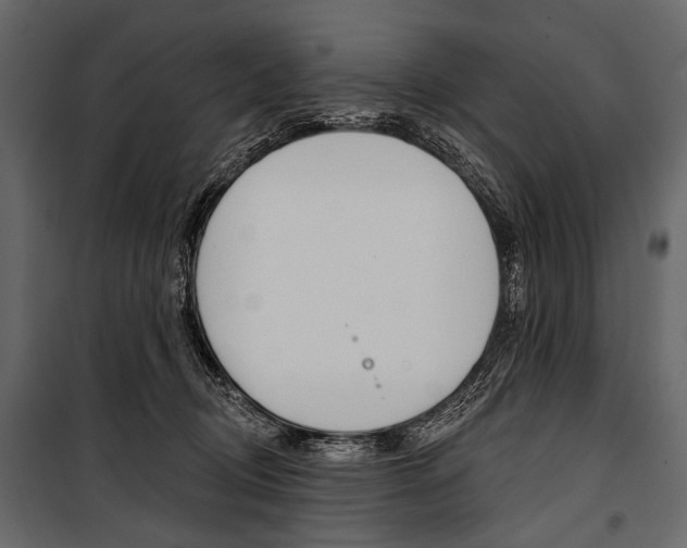 X0000100920370200806241119