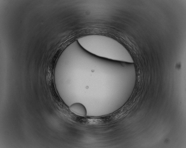 X0000100920371200806241119