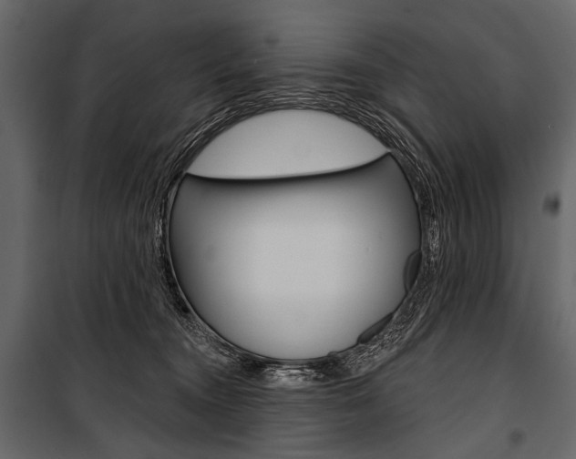 X0000100920372200806241119