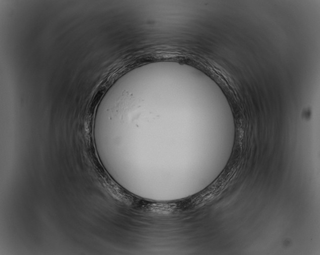 X0000100920373200806241119