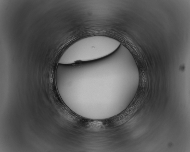X0000100920374200806241119