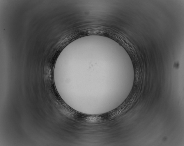 X0000100920375200806241119