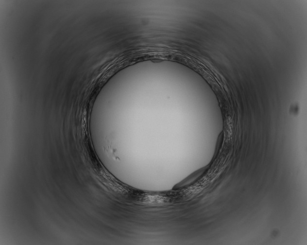 X0000100920376200806241119