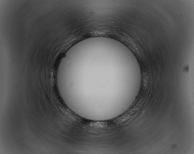 X0000100920378200806241119