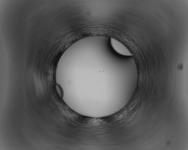X0000100920379200806241119