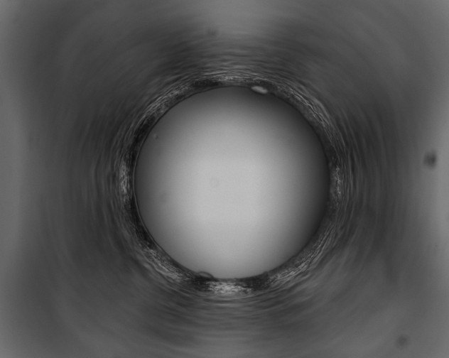 X0000100920380200806241119