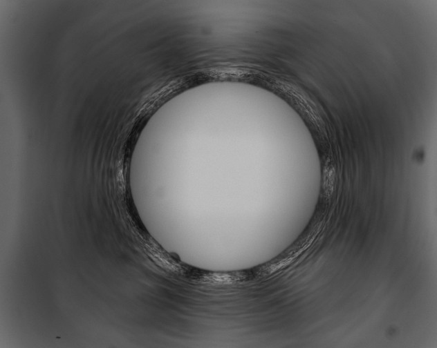 X0000100920381200806241119