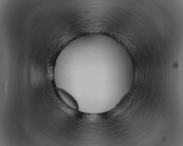 X0000100920383200806241119