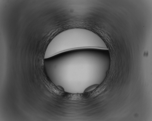 X0000100920384200806241119
