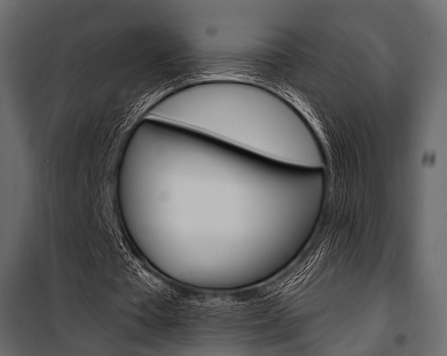 X0000100920385200806241118