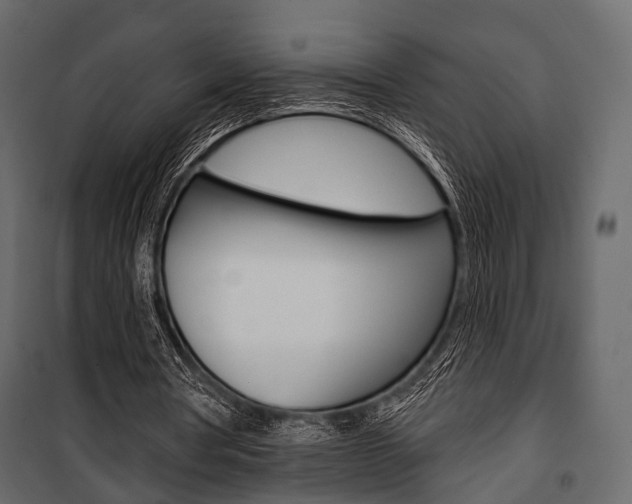 X0000100920386200806241118
