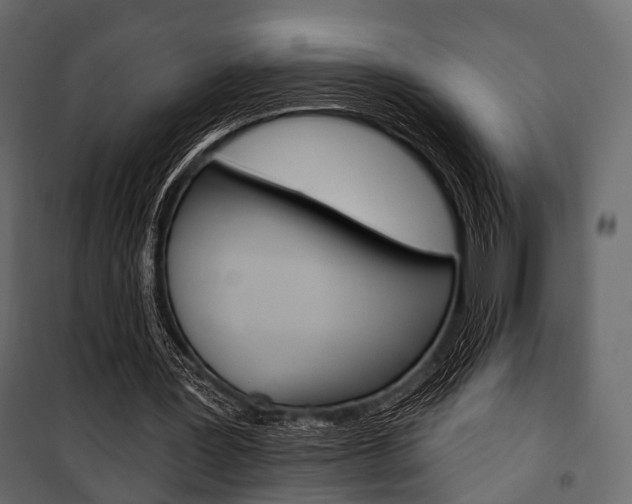 X0000100920387200806241118
