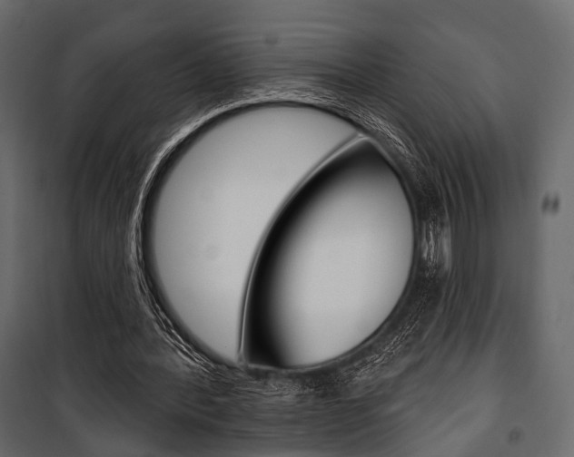 X0000100920388200806241118