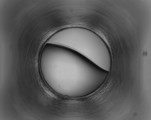X0000100920389200806241118