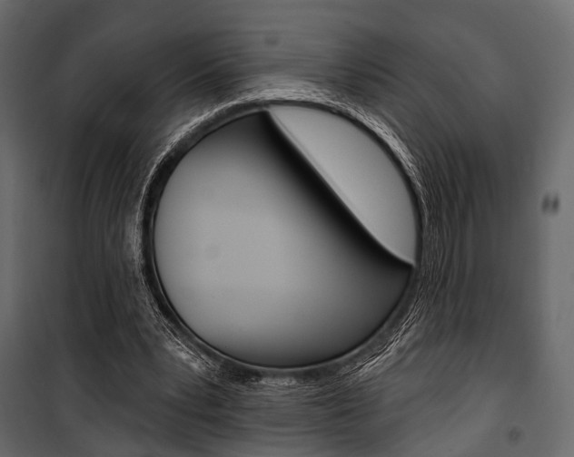 X0000100920391200806241118
