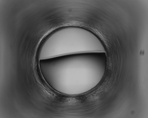 X0000100920392200806241118
