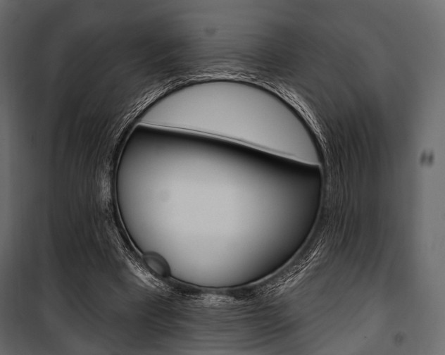 X0000100920393200806241118
