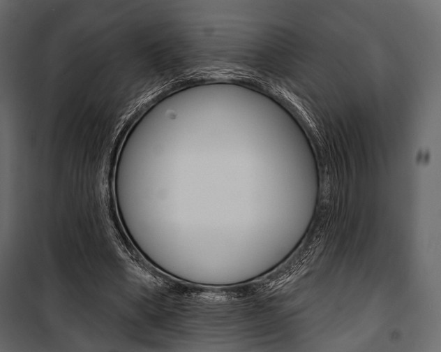 X0000100920394200806241118