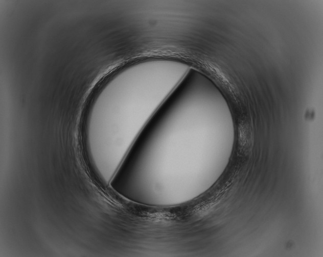 X0000100920396200806241118