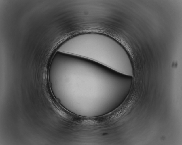 X0000100920397200806241118