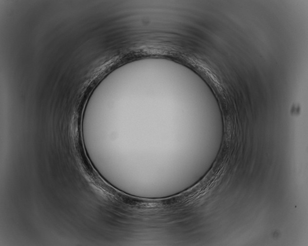 X0000100920398200806241118