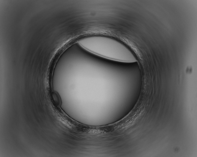 X0000100920399200806241118