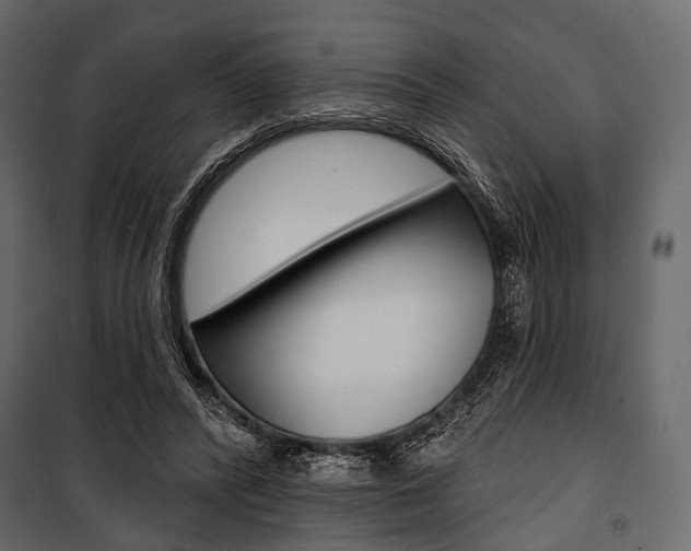 X0000100920400200806241118