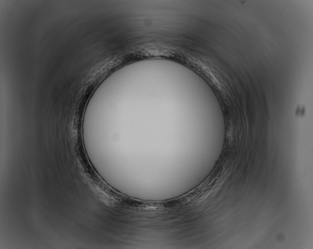 X0000100920402200806241118