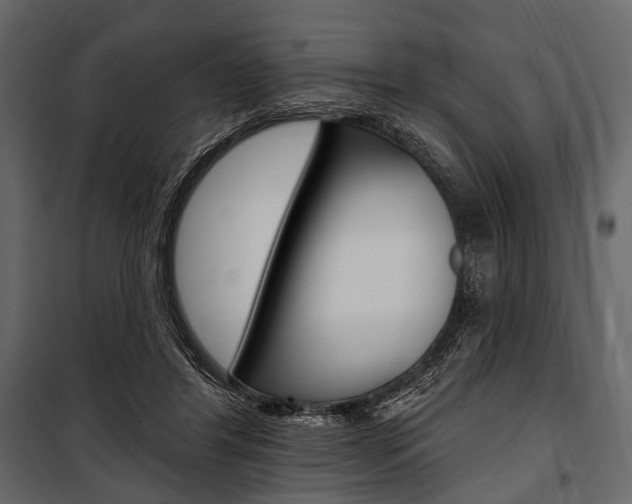 X0000100920404200806241118