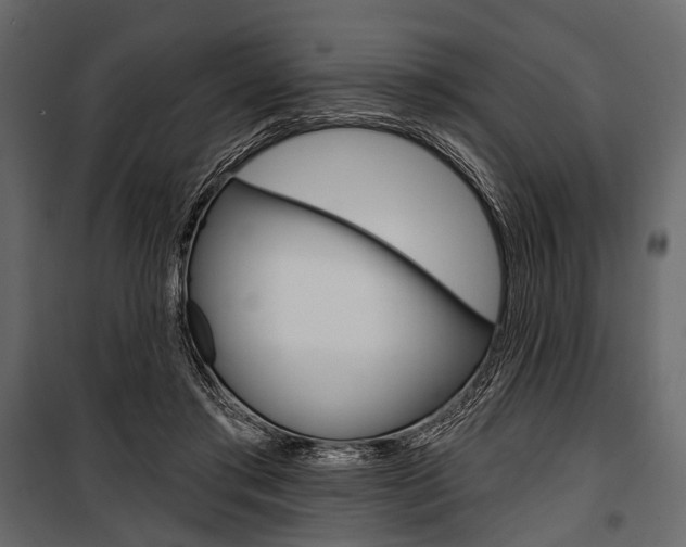 X0000100920405200806241118
