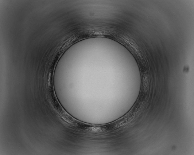 X0000100920406200806241118