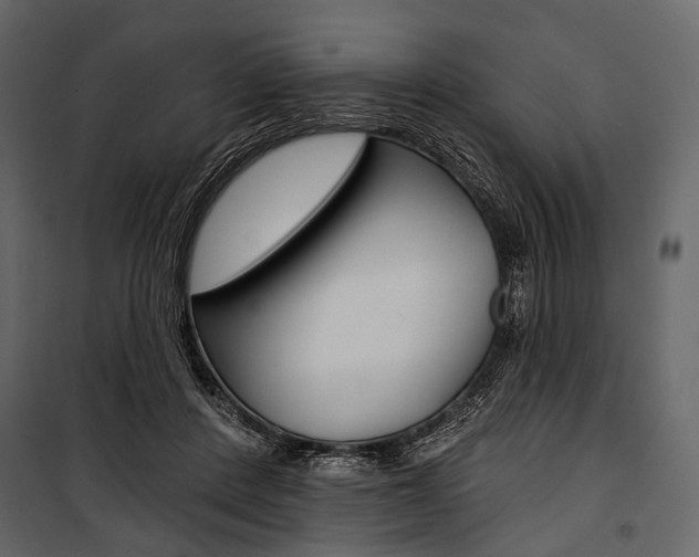 X0000100920408200806241118