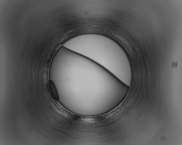 X0000100920409200806241118