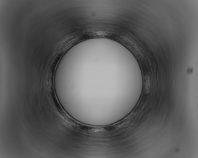 X0000100920410200806241118