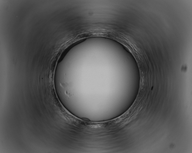 X0000100920411200806241118
